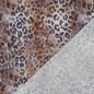 Preview: 0,5m Musselin Animal Skin Sand