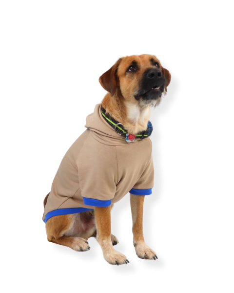 Schnittmuster Fadenkäfer Hunde Hoodie