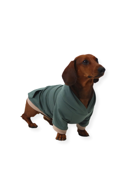 Schnittmuster Fadenkäfer Hunde Hoodie